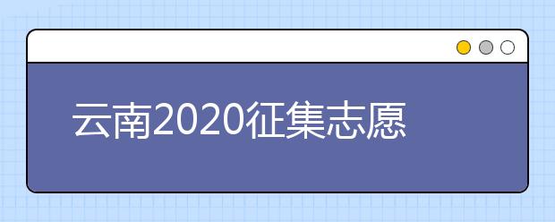 云南2020征集志愿填報時間是什么？有什么填報要求？